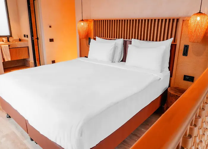 Novva (adults Only) * קס